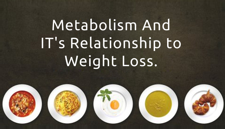 metalbolism weight
